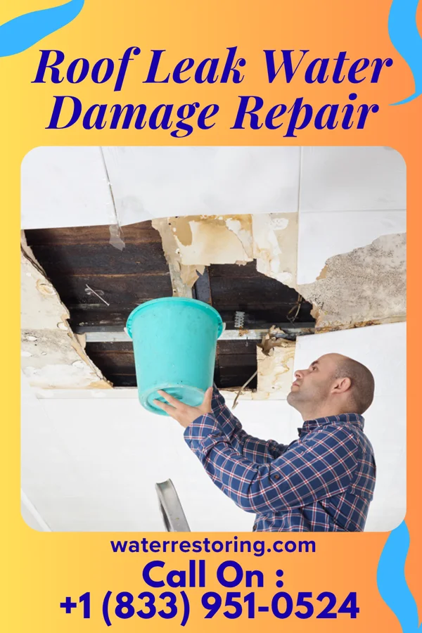 Roof Leak Water Damage Repair in Tukwila, WA